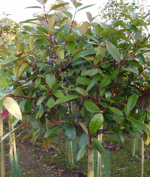 IMAG0059